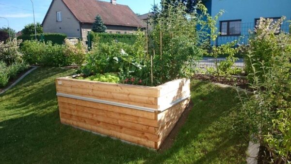 BIO-Schwarzerde für Hochbeet und Gemüse – Bild 4
