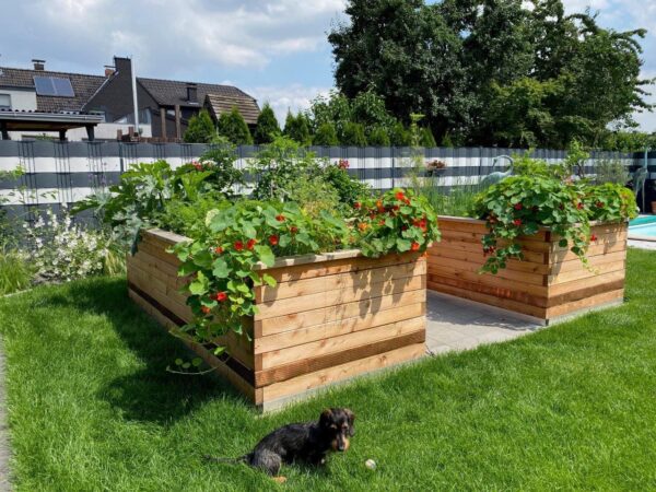 Hochbeet U-Marie 300x400 extrabreit – Bild 3