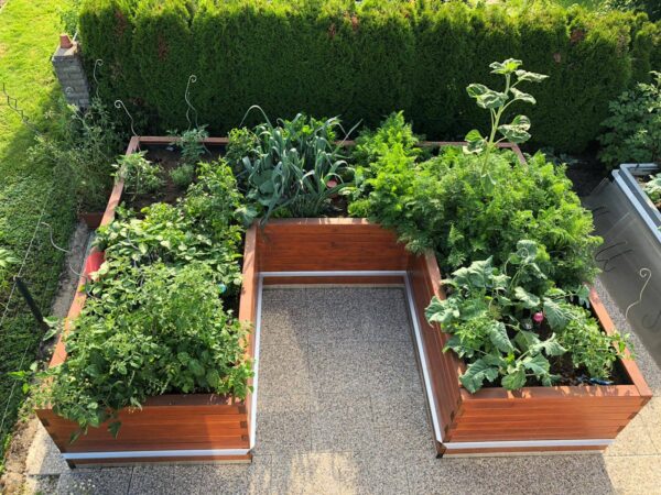 Hochbeet U-Marie 300x400 extrabreit – Bild 2