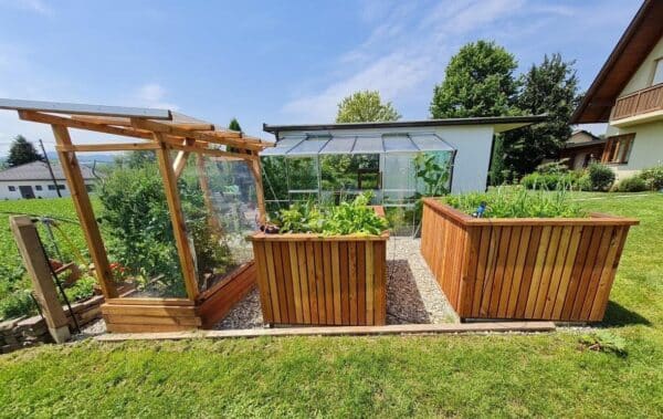 Tomaten-Paradies – Bild 17