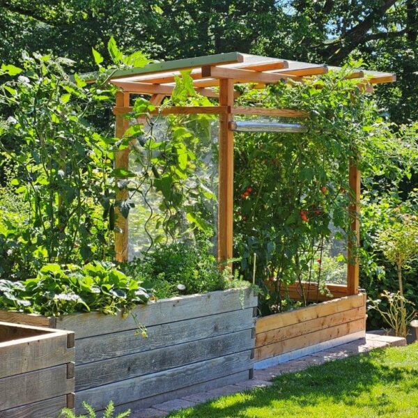 Tomaten-Paradies – Bild 4