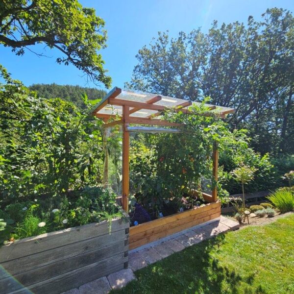 Tomaten-Paradies – Bild 5