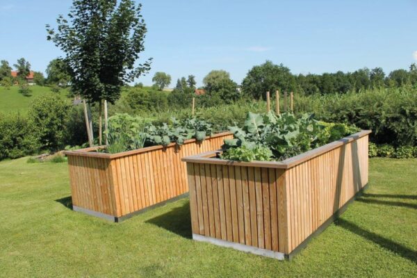 Hochbeet Elise 111 x 286