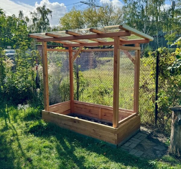 Tomaten-Paradies – Bild 15