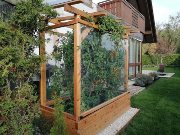 Tomaten-Paradies – Bild 16