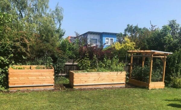 Tomaten-Paradies – Bild 18