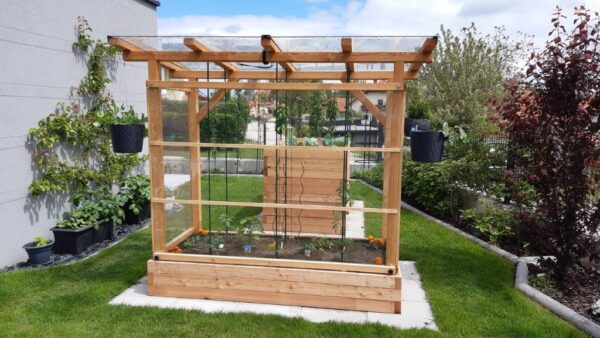 Tomaten-Paradies – Bild 24