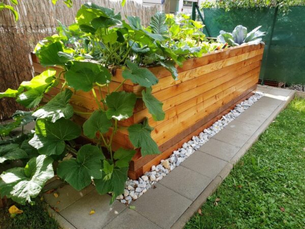 Hochbeet "dicke Berta" 100x200 – Bild 4