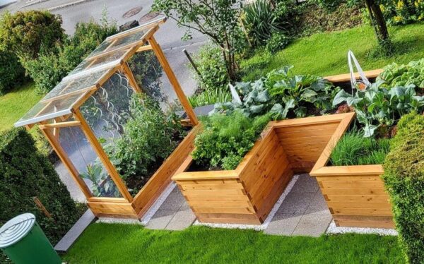 Tomaten-Paradies – Bild 12