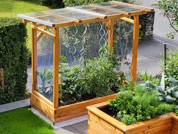 Tomaten-Paradies – Bild 13
