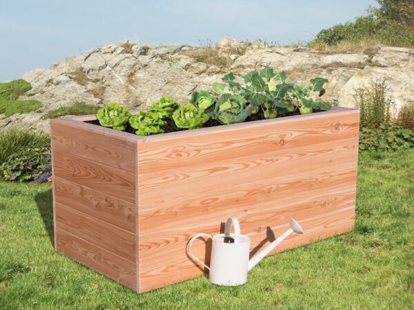 Hochbeet Elke 100 x 200 – Bild 2