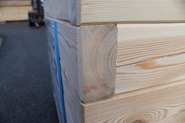 Hochbeet Marie 100 x 200 – Bild 23