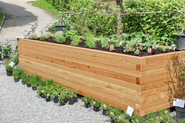 Hochbeet "dicke Berta" 125x393