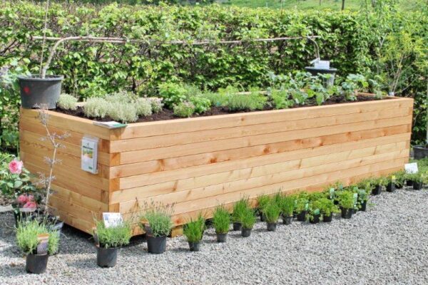 Hochbeet "dicke Berta" 100x300 – Bild 5