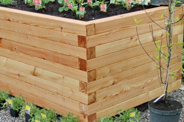 Hochbeet "dicke Berta" 100x200 – Bild 2