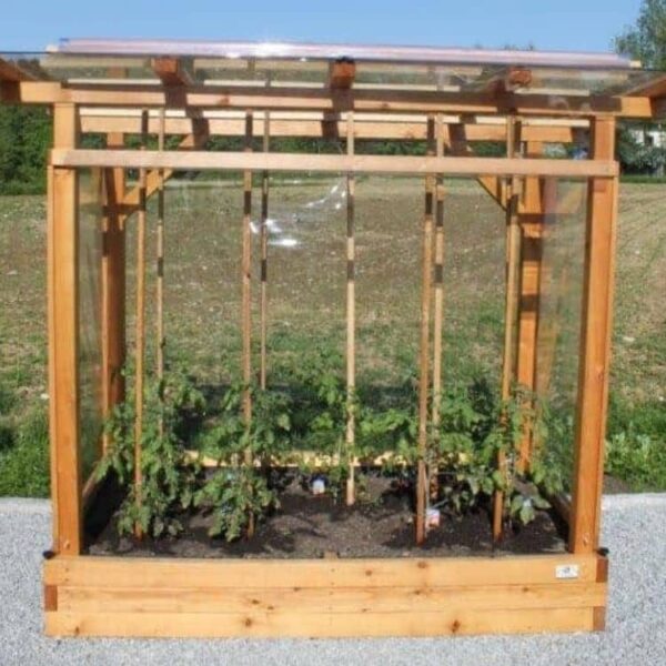 Tomaten-Paradies