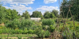 Selbstversorgergarten und Permakultur