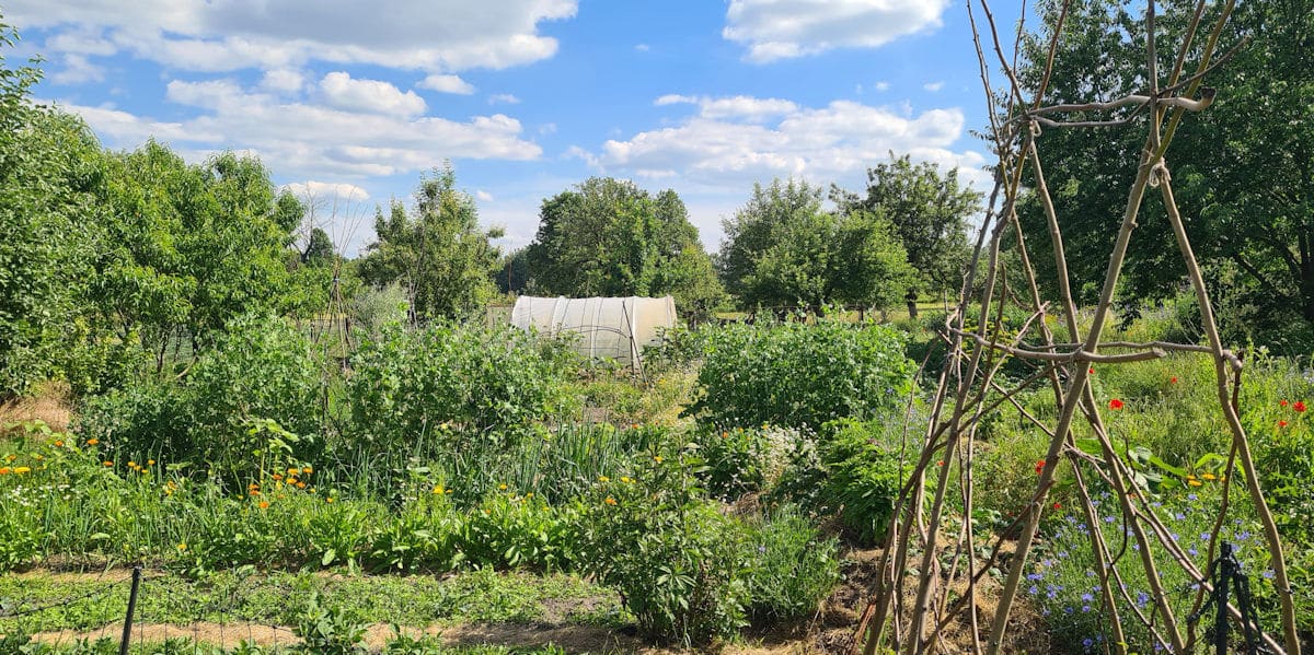 Selbstversorgergarten und Permakultur
