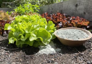 Hochbeet Erde Schicker Mineral